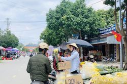 Chợ quê chiều cuối năm vẫn tấp nập, cây cảnh và hoa lại 'ế ẩm'