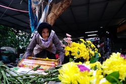 Thương con cháu, cụ bà hứa bán nốt 'gánh hoa Tết' rồi nghỉ hẳn