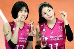 Nữ thần bóng chuyền Hàn Quốc thừa nhận từng bắt nạt bạn học