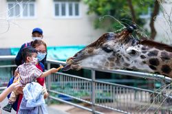 Thảo Cầm Viên vắng hoe ngày mùng một Tết