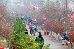Dự báo thời tiết ngày và đêm nay (12/2): Ngày mùng 1 Tết Tân Sửu trời đẹp trên cả nước