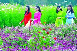 Lời chúc đầu năm