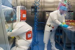 Covid-19: WHO lại có tin mới về virus, biến chủng ở Brazil lây lan 'khủng'
