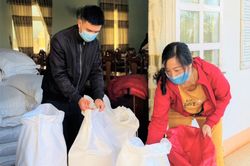 Hạt gạo nghĩa tình