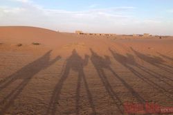 Tản mạn những cung đường Morocco