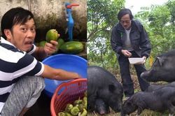 3 sao nam có biệt thự, cát-sê 'khủng' vẫn làm nông dân