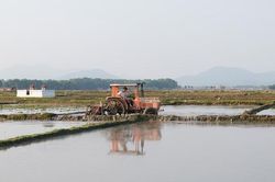 Chiều mùng 3 Tết, nông dân rục rịch xuống đồng sản xuất vụ Xuân