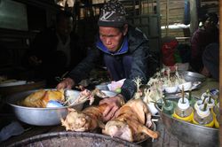 Độc đáo lễ hội Ada của người Pa Cô