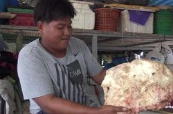 Khối long diên hương hàng tỷ đồng là chất thải của con vật này