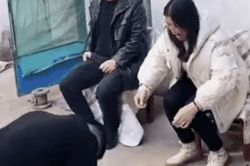 Phong tục năm mới gây tranh cãi trên MXH Trung Quốc hiện tại: Đập đầu vào thau nhôm để chúc Tết, tiếng kêu càng to càng có nhiều may mắn