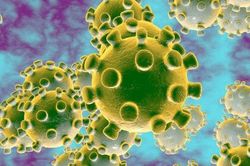 Tất cả virus corona trên thế giới nằm vừa trong một lon nước ngọt