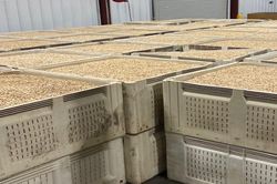 Vụ trộm xe tải và hạt dẻ bại lộ vì thiết bị định vị