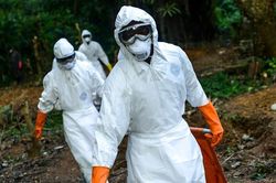Vẫn chưa 'thanh toán' xong COVID-19, dịch Ebola bùng phát trở lại ở châu Phi