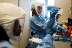 Mỹ phát hiện 7 biến thể mới của virus corona