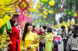 Thắm đượm hương xưa trong không khí Tết Sài Gòn