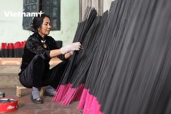 Hương đen làng Chóa: Độc đáo mùi thơm của trám rừng
