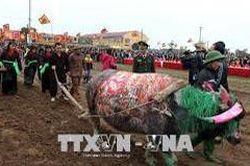Ý nghĩa Lễ tịch điền tái dựng hình tượng Vua Lê Đại Hành cày ruộng