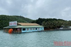 Bài 4 và kết: Từ 'lâm tặc' trở thành điển hình trồng rừng