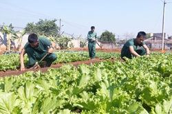 Ngày xuân ở đơn vị 'Mở đường thắng lợi'