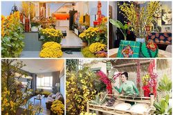 Nhà ngập hoa, cây cảnh như chợ xuân của các Hoa hậu Việt