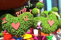 Những lễ hội ngoại nhập…