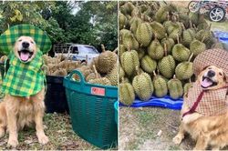'Chủ' sạp trái cây dễ thương nhất thế giới: Đi mua sầu riêng, được khuyến mãi nụ cười duyên!