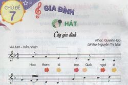 'Cây gia đình' bói quả mùa Xuân này