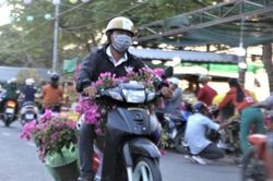 Người Việt và tâm lý 'tết mà'