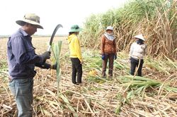 'Tăng tốc' sản xuất kinh doanh ngay sau Tết