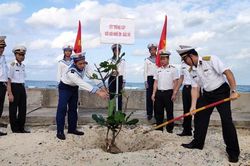 Lữ đoàn 146 Hải quân tích cực hưởng ứng 'Tết trồng cây đời đời nhớ ơn Bác Hồ'