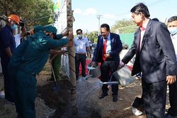 TP. Cam Ranh phát động Tết trồng cây