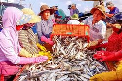 Ngư dân ra khơi từ ngày mồng 2 Tết
