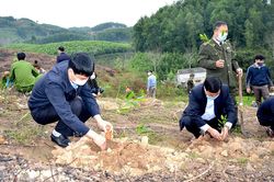 Hàm Yên phát động Tết trồng cây 'Đời đời nhớ ơn Bác Hồ'