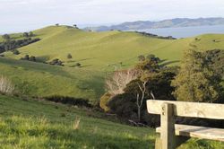 Bài dự thi 'New Zealand - Bật mí trăm điều thú vị': Tháng 10 - mùa cỏ nở hoa và ấn tượng New Zealand của tớ