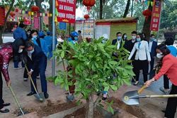 Hội Phụ nữ Việt Nam phát động tết trồng cây