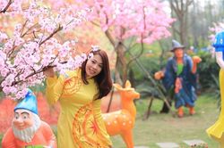 'Khi tình sắp Tết'
