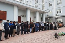 Hàng chục con bạc tham gia 'đá gà' tại Yên Thành