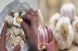 Bảo quản tỏi khô tới vài năm với những mẹo đơn giản