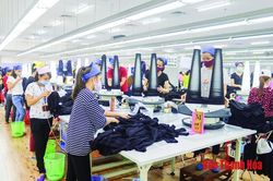 Thanh Hóa tổ chức Tháng hành động về an toàn, vệ sinh lao động năm 2021