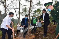 Thừa Thiên – Huế: Phát động Tết trồng cây Xuân Tân Sửu 2021