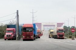 Hơn 4.700 tấn hàng hóa thông quan tại Móng Cái trong ngày sau Tết