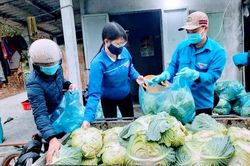 Chung tay hỗ trợ nông dân vượt qua khó khăn trong đại dịch