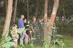 Chung sức giúp người dân thoát nghèo