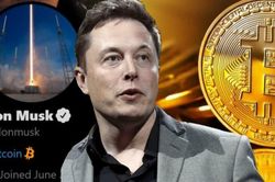 Các giám đốc tài chính tò mò về Bitcoin nhưng vẫn rụt rè do lo ngại pháp lý và biến động