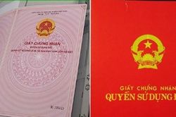 Vướng mắc khi kê biên, xử lý tài sản thi hành án là quyền sử dụng đất