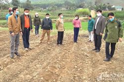 Lãnh đạo huyện Anh Sơn kiểm tra sản xuất đầu năm