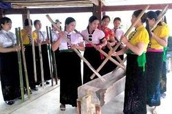 Nhịp đuống ngày Xuân