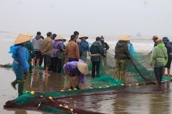 Sầm Sơn – Chợ cá 'rùng' tươi rói trên bãi biển