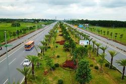 Trồng thêm hơn 10.000 cây xanh dọc các tuyến quốc lộ