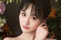 Trịnh Sảng bị tẩy chay ở cả ngoài đời sống, ngay cả mua đồ ăn cũng chẳng ai bán cho